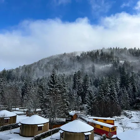 Votre Cocon A La Bresse La Bresse